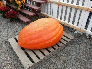 It's the Big Pumpkin, Charlie Brown!