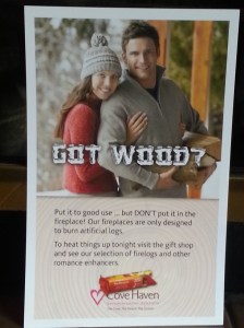 Got Wood? This was by the fireplace in our room. (Click to enlarge)