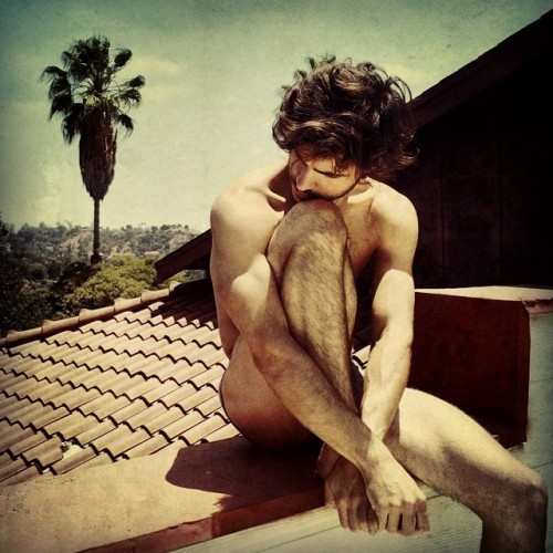 tumblr_nhn816fUWn1rwyeqro1_500